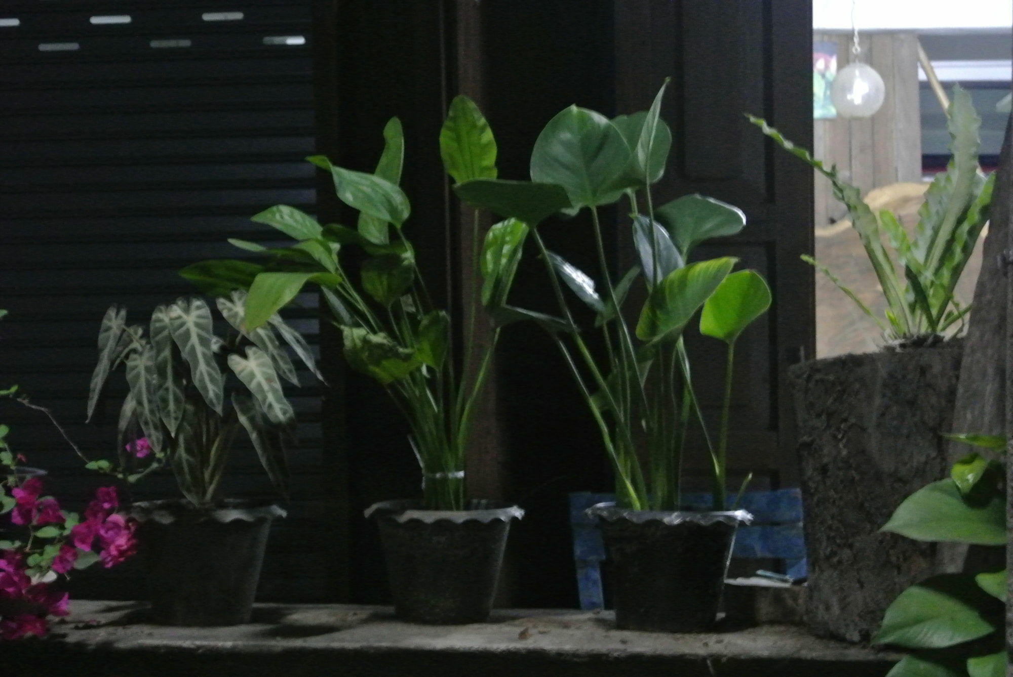 Cumpun Guest House Chiang Mai Esterno foto